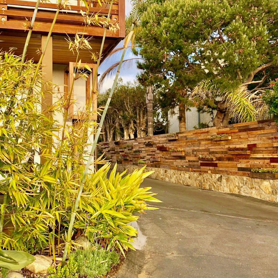 אנסיניטס Inn At Moonlight Beach מראה חיצוני תמונה